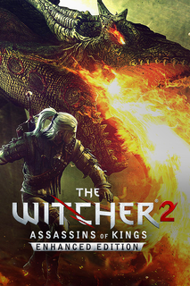 Witcher 2: Assassins of Kings, The